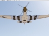 p51dts_0009   
