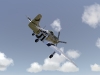 p51dts_0014   